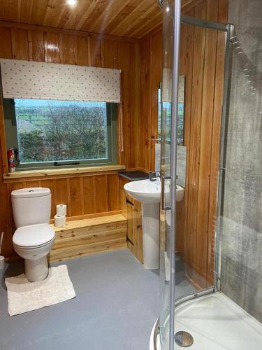 uma casa de banho com um WC, um lavatório e um chuveiro em Rural Wood Cabin - less than 3 miles from St Ives em Penzance