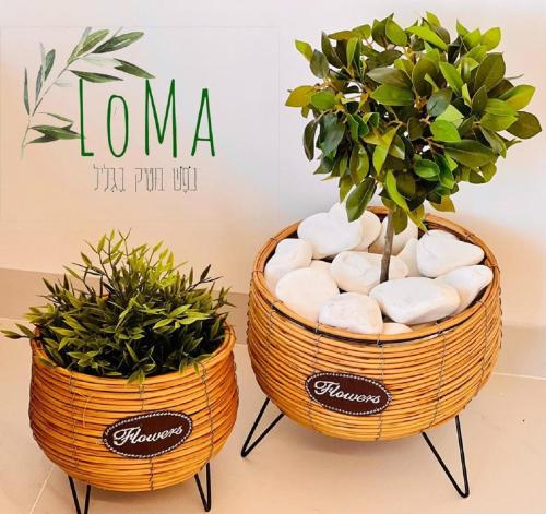 two baskets filled with plants sitting next to each other at LOMA in Hagoshrim