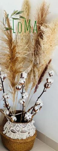 a basket with some dried plants in it at LOMA in Hagoshrim