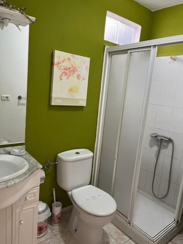 uma casa de banho verde com um WC e um chuveiro em CORNELIA´S HOME TC3 Atico vista maravillosa em Los Cristianos