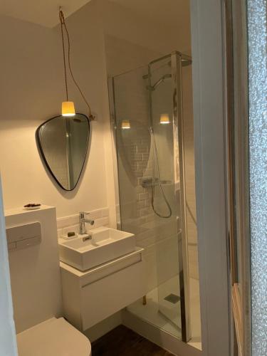 La salle de bains est pourvue d'une douche, d'un lavabo et d'un miroir. dans l'établissement Cœur de ville, appartement de caractère, à Nancy
