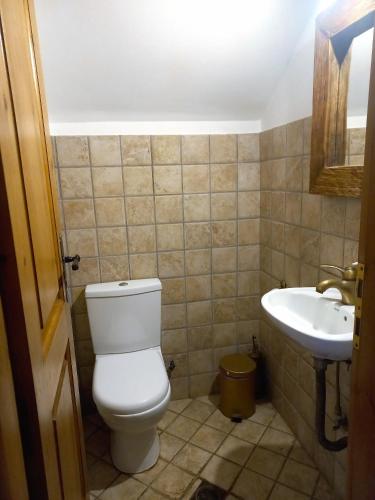 a bathroom with a toilet and a sink at Platanos in Vasiliki