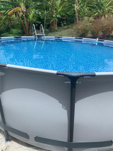 Swimmingpoolen hos eller tæt på Le calme du Vauclin