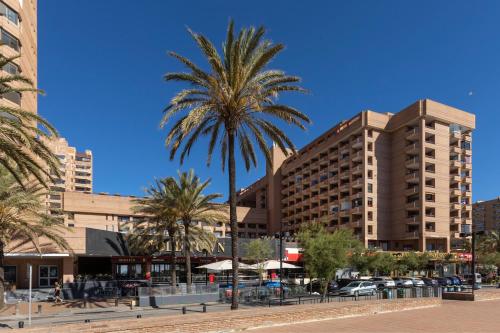 a palm tree in front of a building at Las Palmeras Affiliated by FERGUS in Fuengirola