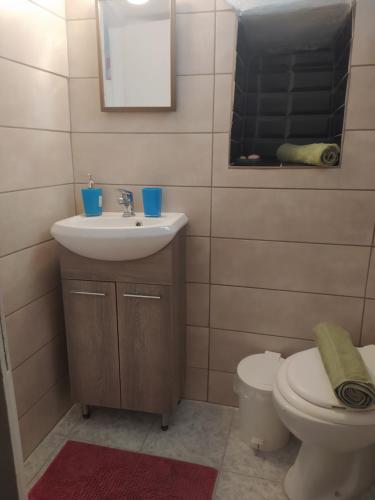 ein Badezimmer mit einem Waschbecken, einem WC und einem Spiegel in der Unterkunft Το αρχοντικό της Ιωάννας ΙΙ in Apróvaton