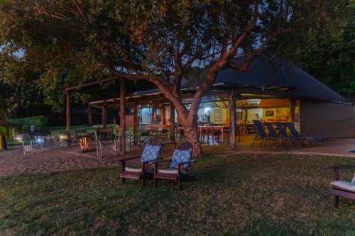 a group of chairs under a tree next to a tent at Crocodile Bridge Safari Lodge in Komatipoort