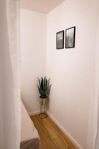 a room with a plant on the wall at Ferienwohnung Kurpark Brilon am Rothaarsteig in Brilon