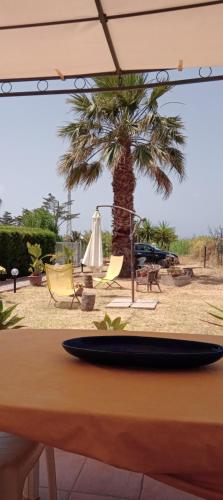 SeFloNia – Photos 3