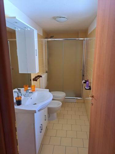 La salle de bains est pourvue de toilettes, d'un lavabo et d'une douche. dans l'établissement La maison de Chantal, à Fenis