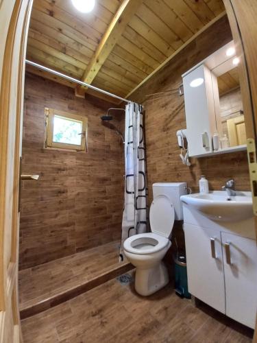 a bathroom with a toilet and a sink at Vila Montana in Dobrilovina