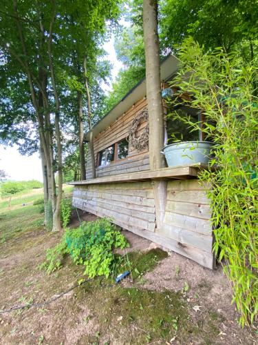 a house with two plants on the side of it at Le Nid Douillet in Theux