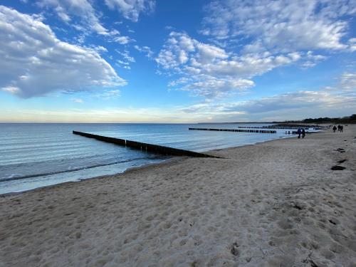 a beach with a wooden pier in the water at Ferienwohnung Dünenhopser in Rostock