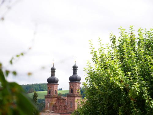 two towers on top of a building with trees at Ferienwohnung Veronika Heilbock in Sankt Peter