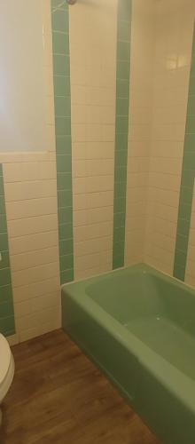 a bathroom with a green tub and a toilet at Silver Ridge Lodge in Salida