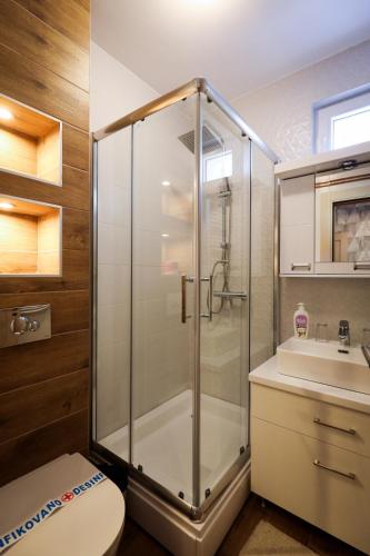 a bathroom with a shower and a toilet and a sink at Domaćin Komšijska Gostiona in Zrenjanin