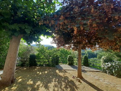 Vonkajšia záhrada v ubytovaní Villa Le Palmine