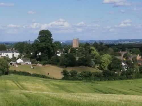 a green field with houses and a tower in the distance at The Old Gasworks in Milverton