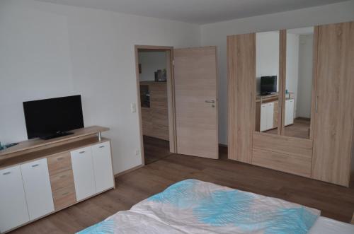 1 dormitorio con 1 cama, TV y espejo en Obsthof Flammersberger, en Volkach