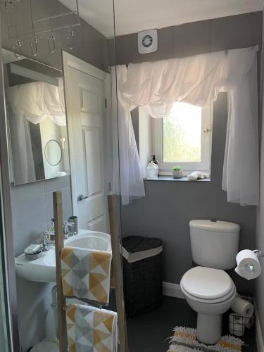 a bathroom with a toilet and a sink and a mirror at Pemberton Cottage in Ingleton 