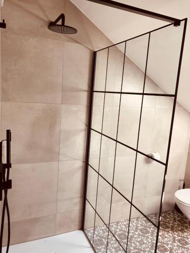 a shower with a glass door in a bathroom at De Molenhoeve in Voeren