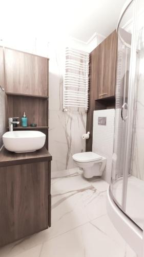 uma casa de banho com um lavatório, um WC e um chuveiro em Ariańska 8A by Homeprime em Cracóvia