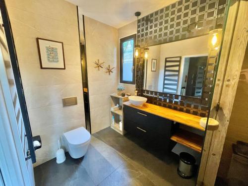 a bathroom with a sink and a toilet and a mirror at Cosy Tiny Lodges - vakantiepark Kempenbos in Diessen