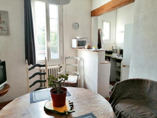 - un salon avec une table et une plante dans l'établissement Appartement charmant à La Seyne-sur-Mer 44 m² avec terrasse, à La Seyne-sur-Mer