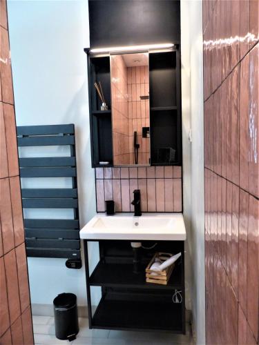une salle de bain avec un lavabo et un miroir dans l'établissement Coeur Rouennais 4P - Centre historique - Rue piétonne - Internet -Wifi, à Rouen