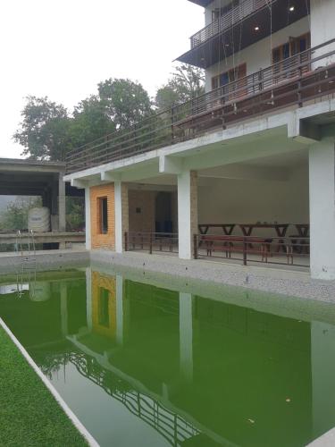 Un charco de agua verde frente a un edificio en LA SIESTA INDIA CHAMBA -(HOTEL HAVEN AND HILLS), en Chamba