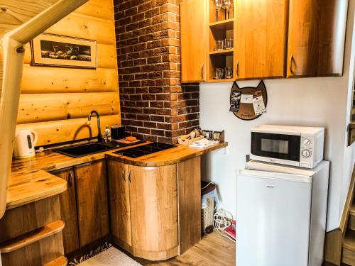 a small kitchen with a sink and a microwave at Szostak Apartament in Bańska Niżna