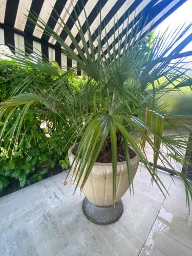 Un Coin de Paradis photo 27