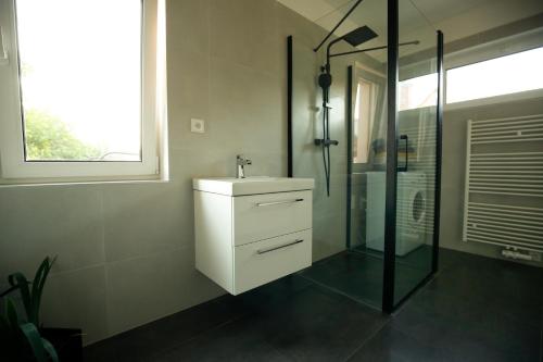 Koupelna v ubytování apartmán deVAde se dvěma ložnicemi a WiFi připojením