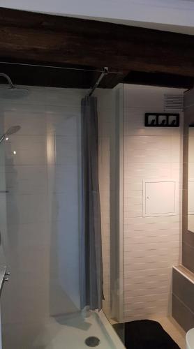 La salle de bains est pourvue d'une douche en verre avec un rideau. dans l'établissement NEW ! Vue Petite Venise, Place to be - Parking, à Colmar