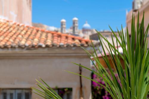 a green plant in front of a building at Nomadic Cozy Rooms in Ermoupoli