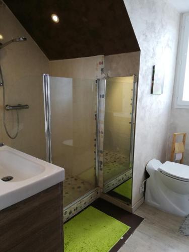 une salle de bain avec une douche, un lavabo et des toilettes dans l'établissement Chez Barbouille, à Reugny