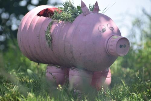 Zahrada ubytování Pine Wood