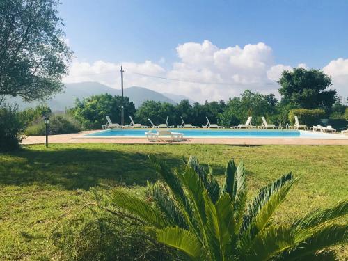 a swimming pool with chairs in a grass field at Tenuta delle Acque in Acquasparta