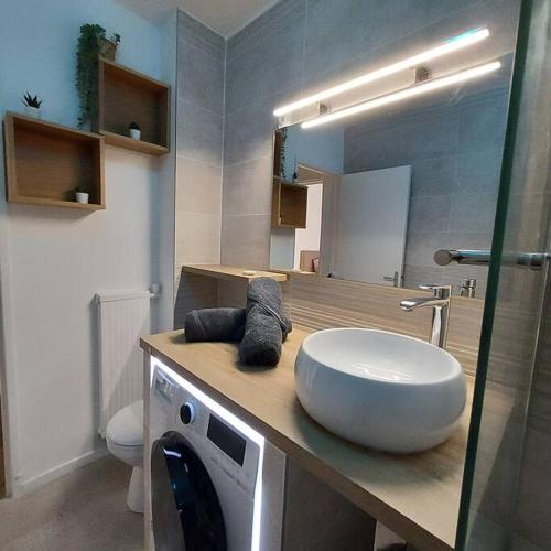 La salle de bains est pourvue d'un lavabo et d'un lave-linge sur un comptoir. dans l'établissement 2 LYS Orleans Downtown, free secure parking, à Orléans