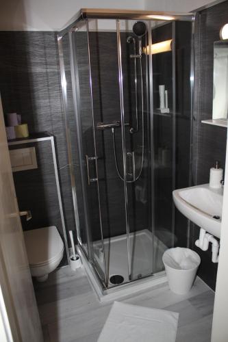 a bathroom with a shower and a toilet and a sink at Pension Waldhof am Stubenbergsee in Stubenberg