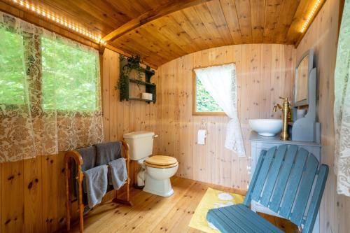 uma casa de banho com um WC e um lavatório em Red Deer Escape em Wheddon Cross