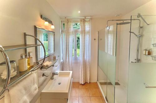 Koupelna v ubytování Château de Villars