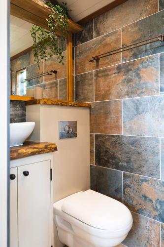 a bathroom with a toilet and a stone wall at Hooting Owl Retreat in Wheddon Cross