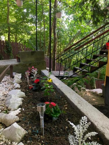 Jardín al aire libre en Hegyi-lak vendégház