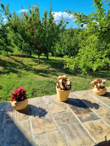 three pots of flowers sitting on a stone table at HOOPOVO HOUSE Fruška gora in Irig