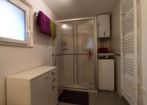 ein weißes Bad mit einer Dusche und einem Kühlschrank in der Unterkunft Häuschen am Silbersee in Kittlitz