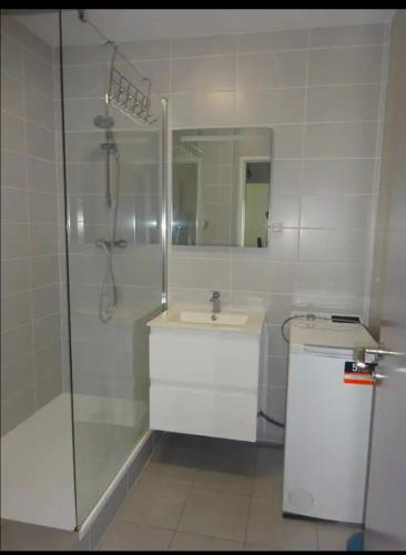 une salle de bain avec une douche, un lavabo et un miroir dans l'établissement Appartement T2 avec place de parking, à Bayonne