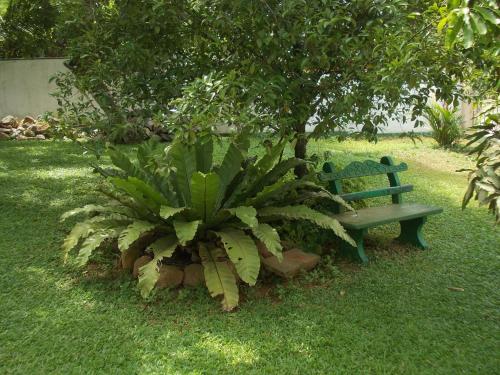 a green park bench sitting under a tree at Samanala Garden Holiday Home in Hikkaduwa