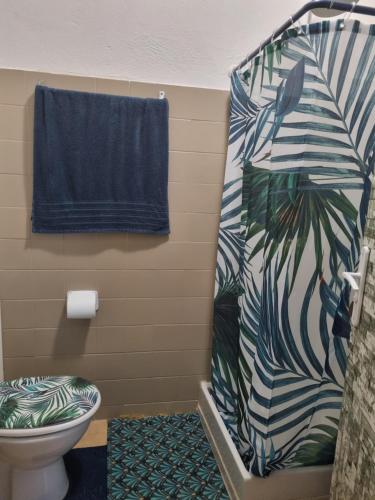 La salle de bains est pourvue d'une douche, de toilettes et d'une serviette. dans l'établissement Studio Ça Mconvient, à Cayenne