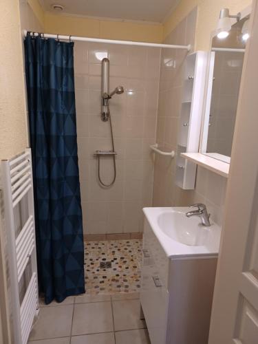 uma casa de banho com um chuveiro e um lavatório. em Gite un bout du sud em Châtel-Montagne