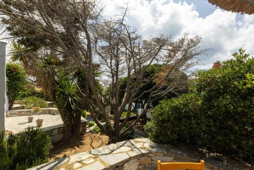 Κήπος έξω από το Sunrock Suites